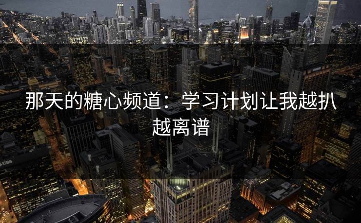 那天的糖心频道：学习计划让我越扒越离谱