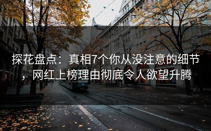 探花盘点：真相7个你从没注意的细节，网红上榜理由彻底令人欲望升腾