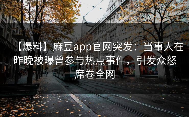 【爆料】麻豆app官网突发：当事人在昨晚被曝曾参与热点事件，引发众怒席卷全网